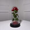 IMG_3039 Rose artificielle sous cloche
