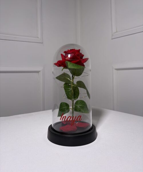 IMG_3039 Rose artificielle sous cloche