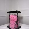 Ours en fleurs