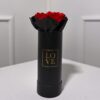 Rose Love