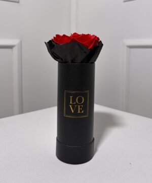 IMG_3222 Rose Love