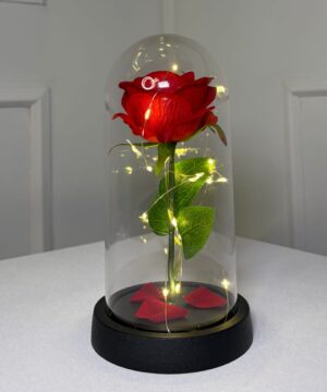 WhatsApp Image 2026-02-07 at 15.36.20 Rose artificielle sous cloche