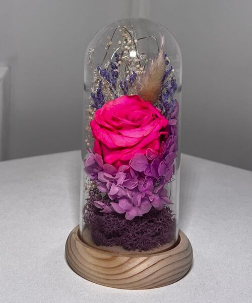 Cloche Élégance