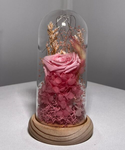 Cloche Élégance