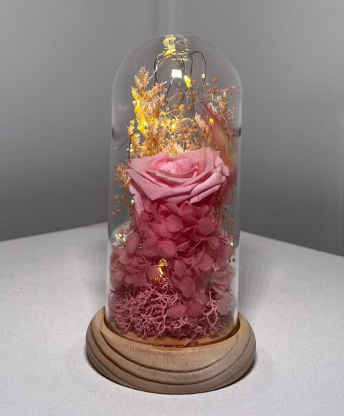 Cloche Élégance