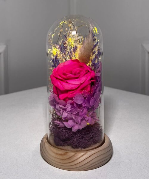 Cloche Élégance